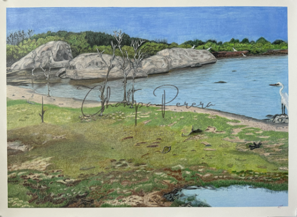 Resilience at The Waterfront - Image 4