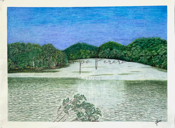 Tranquil Waters - Image 4