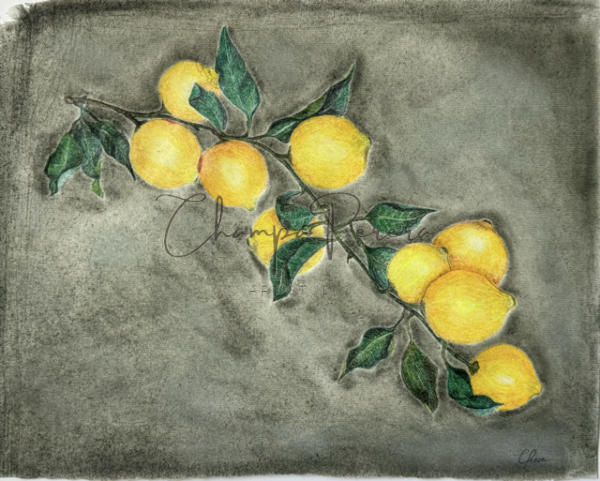 Zestful Harvest - Image 4