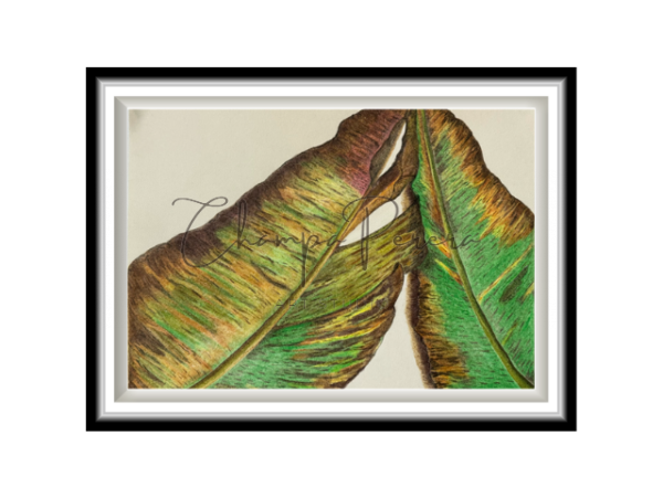 Veins of Life - Image 3