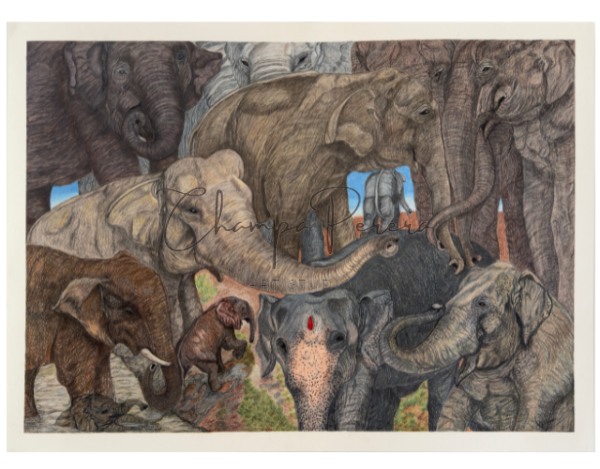 GENERATIONS OF GIANTS - Image 4