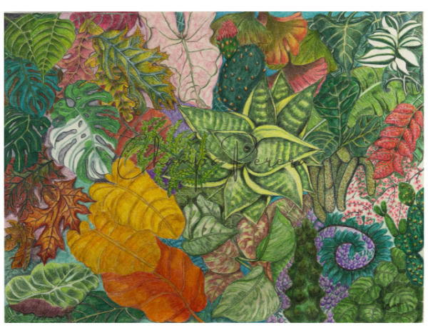 VIBRANT UNITY - Image 4